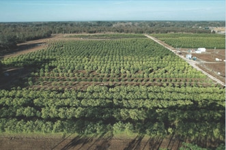 101 Thomas Demps Ln, Perry, FL - AERIAL  map view - Image1