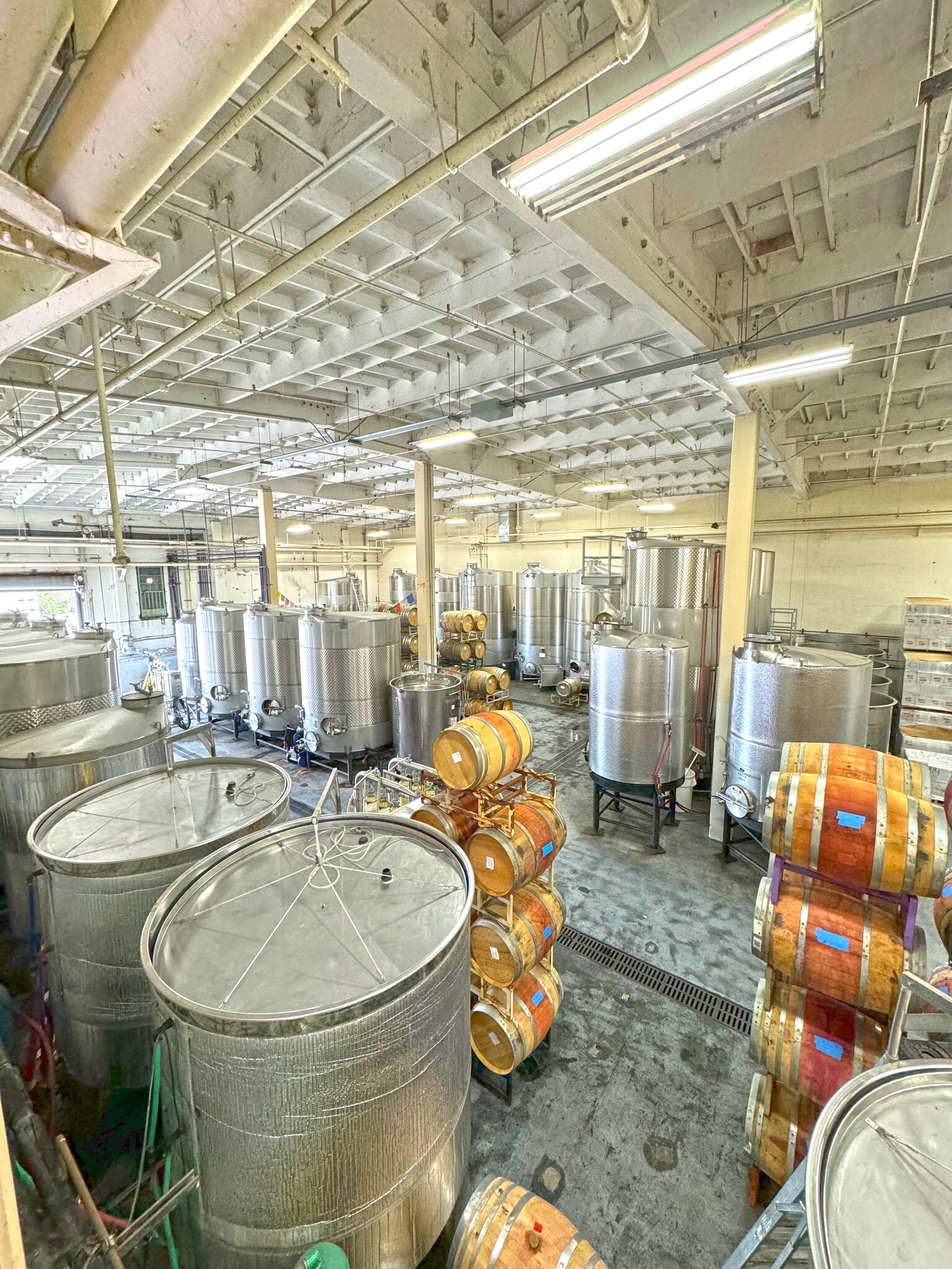 2064 Gravenstein Hwy N, Sebastopol, CA for lease Interior Photo- Image 1 of 8