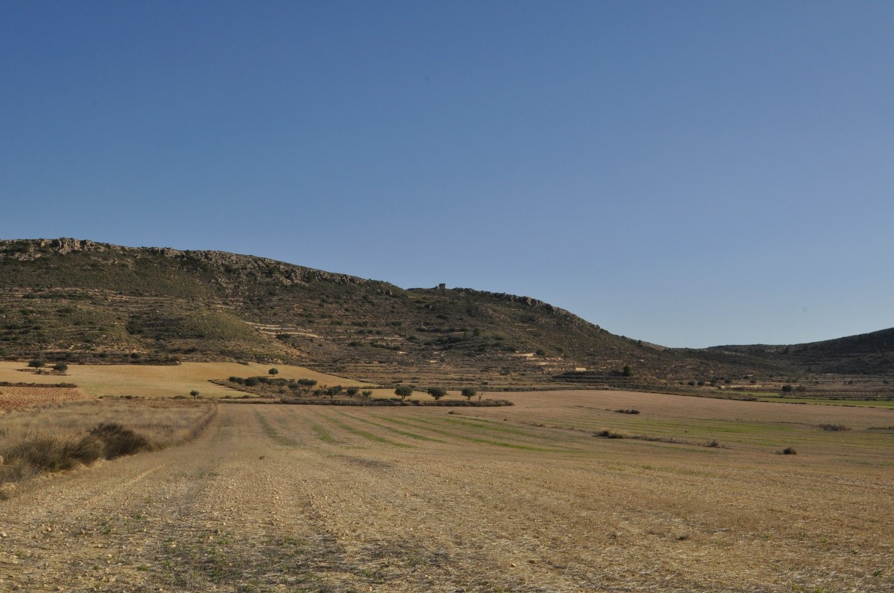Land in Jumilla for sale Building Photo- Image 1 of 12