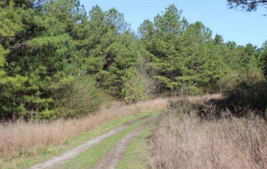 0 Hidden Cove Loop, Jasper, AL for sale - Primary Photo - Image 1 of 1