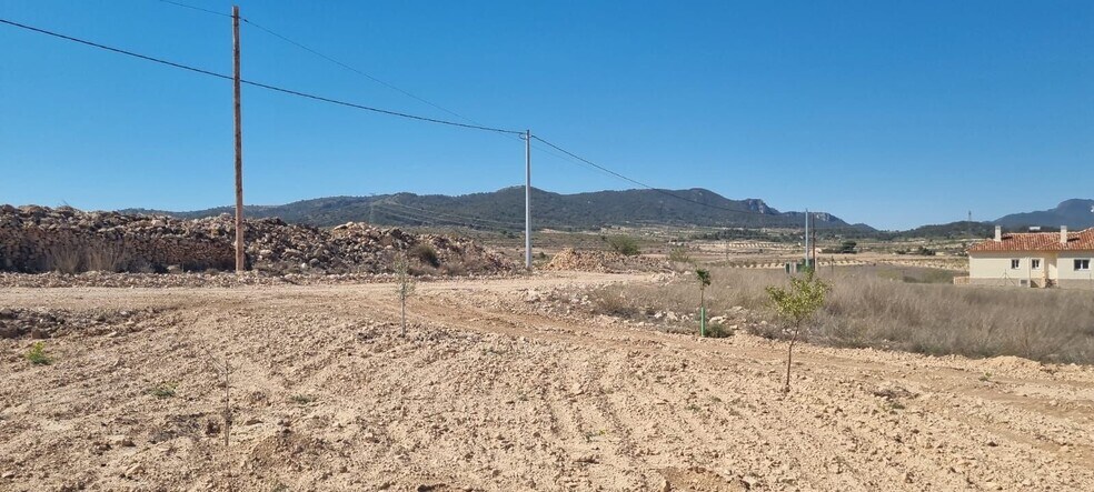 Land in Jumilla for sale - Building Photo - Image 2 of 8