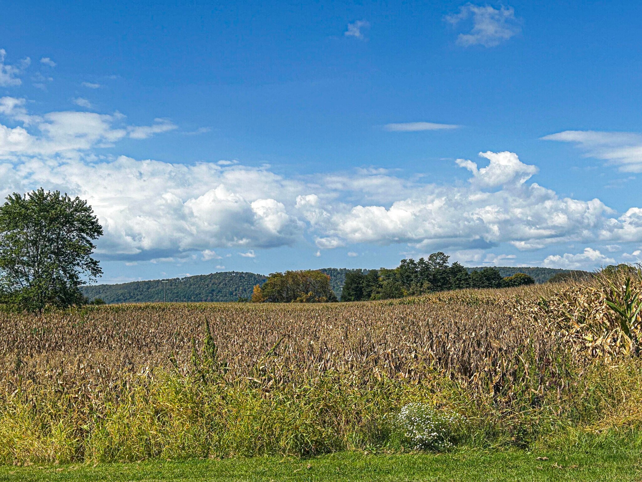 2400 Bernel Rd, State College, PA for sale Other- Image 1 of 1