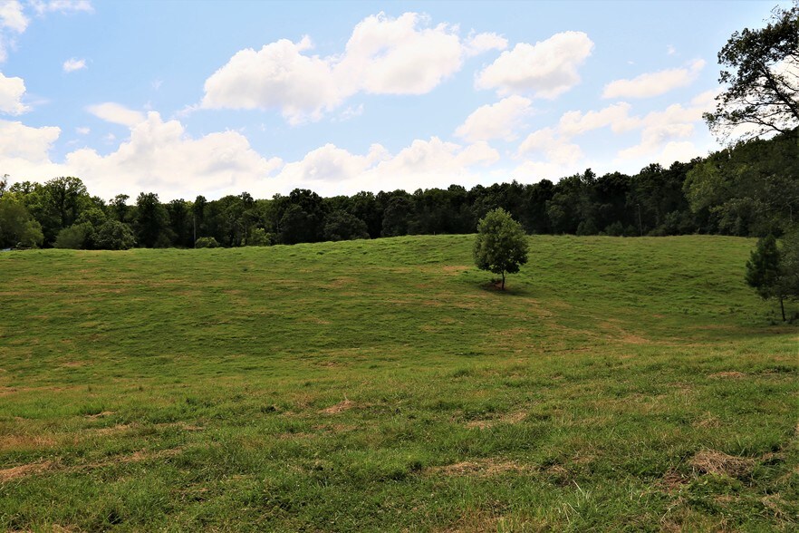 3844 Cove Rd, Jasper, GA 30143