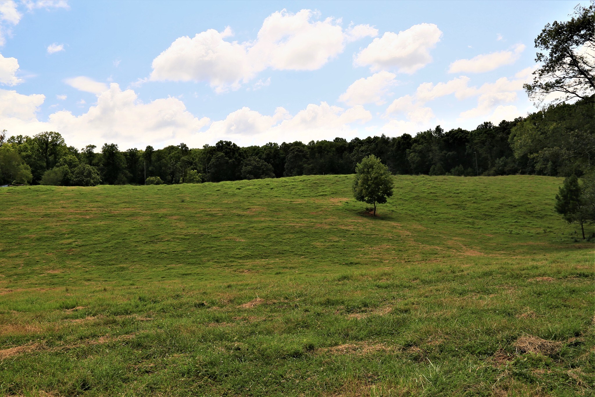 3844 Cove Rd, Jasper, GA for sale Primary Photo- Image 1 of 1