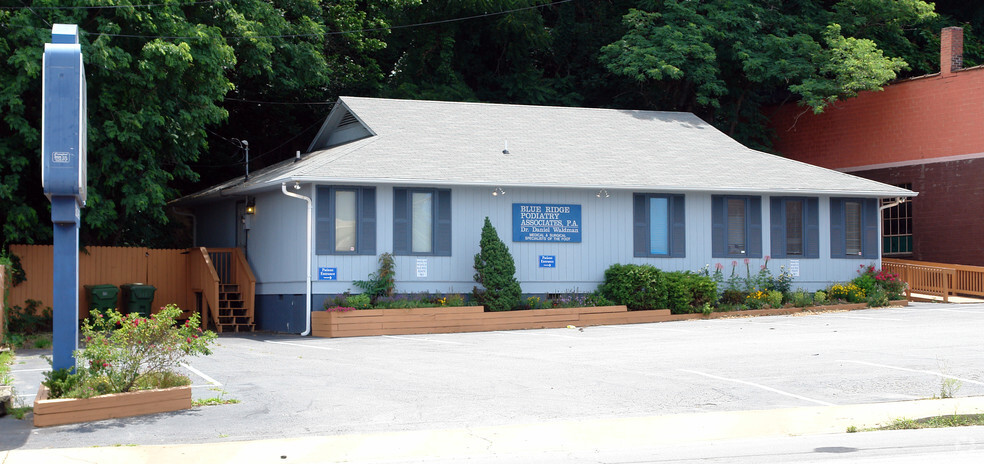 246 Biltmore Ave, Asheville, NC for sale - Primary Photo - Image 1 of 1