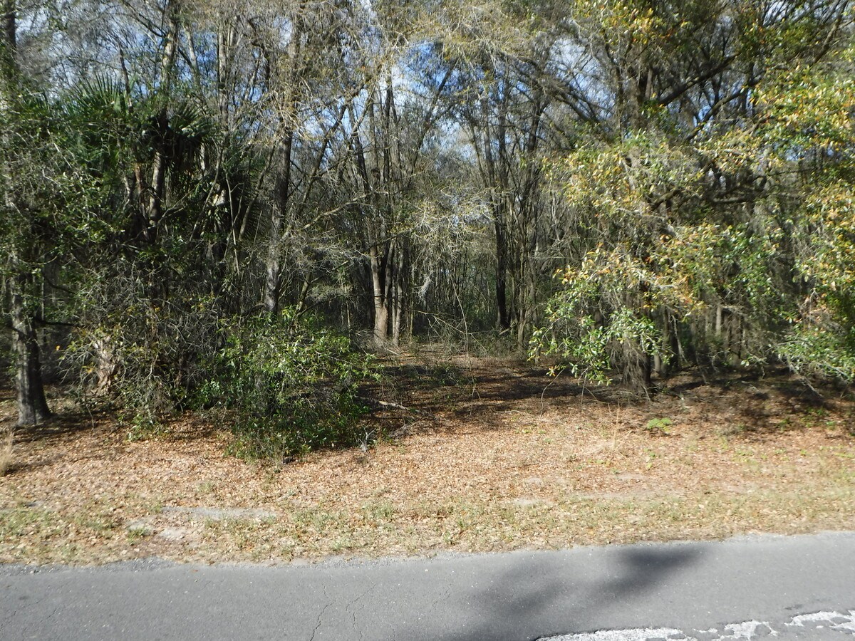 BESSIE DIX Rd, Seffner, FL 33584