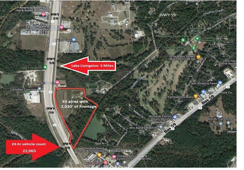 HWY 59 Loop N, Livingston, TX for sale - Aerial - Image 1 of 1