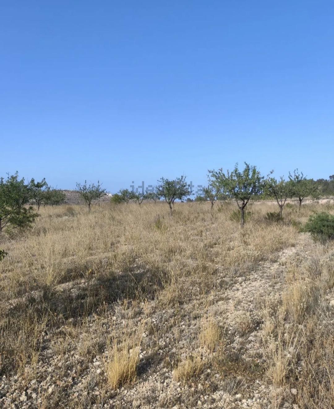 Land in La Romana for sale Site Plan- Image 1 of 5