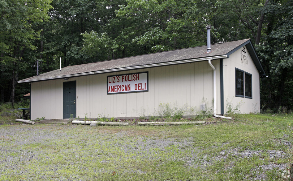 Retail in Shohola, PA for sale - Primary Photo - Image 1 of 1