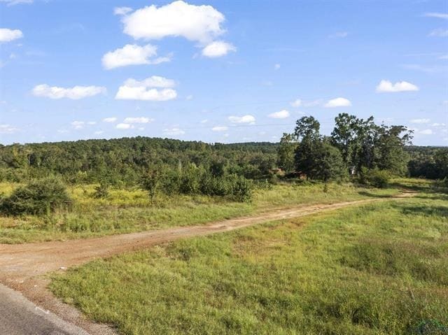 697 Airlite Rd, Marshall, TX for sale - Building Photo - Image 3 of 13