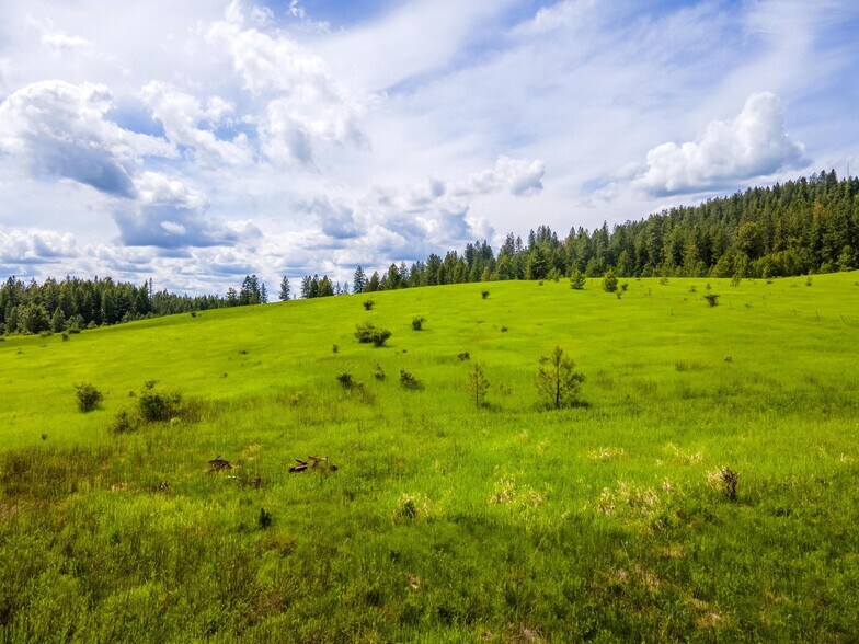 15809 N Scribner Branch Rd, Spokane, WA for sale - Building Photo - Image 3 of 47