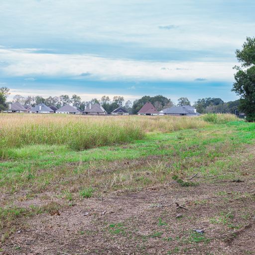 402 Milton Rd, Maurice, LA 70555 Land for Sale