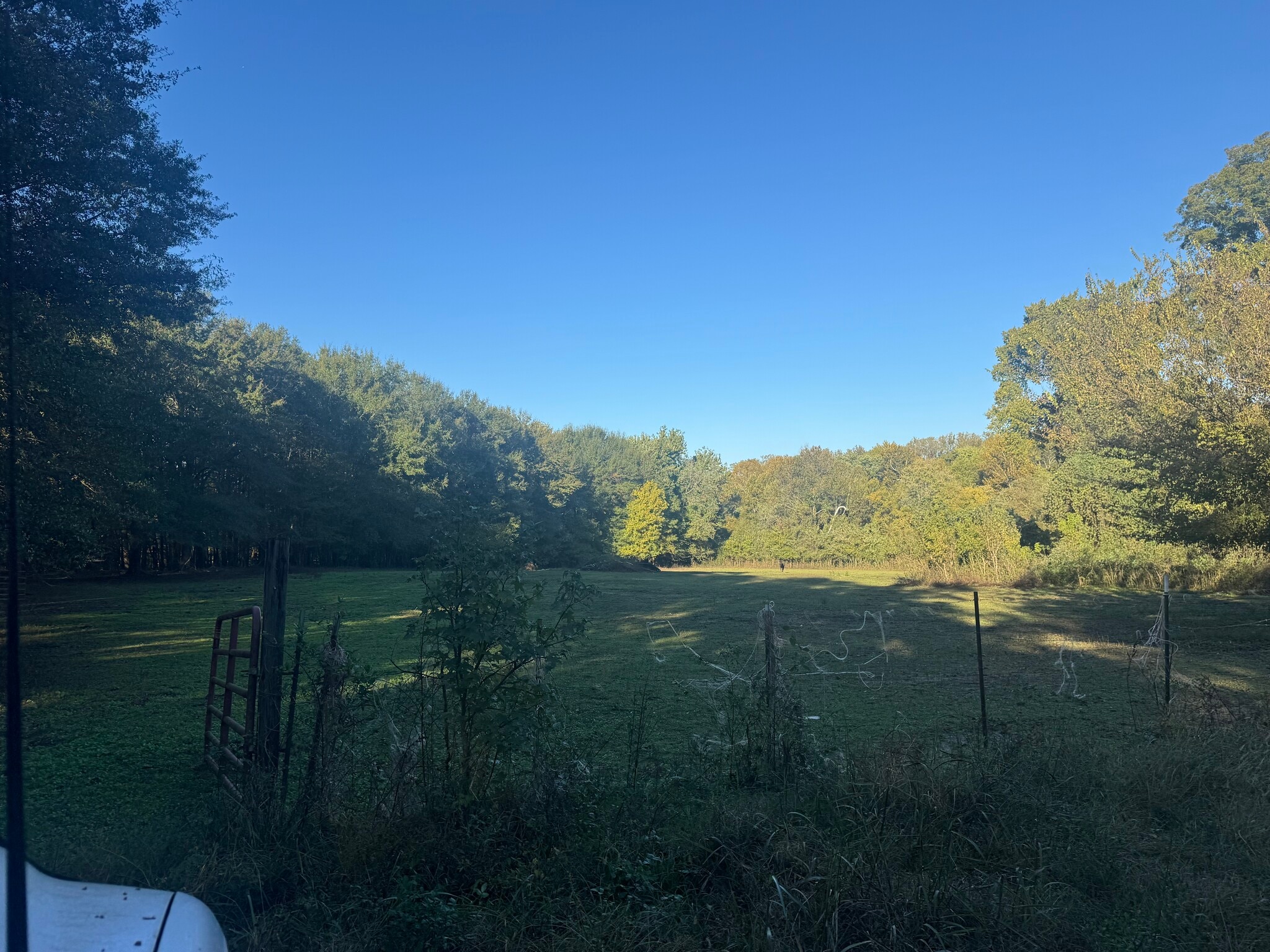 4800 Old Raleigh Millington rd, Memphis, TN for sale Primary Photo- Image 1 of 16