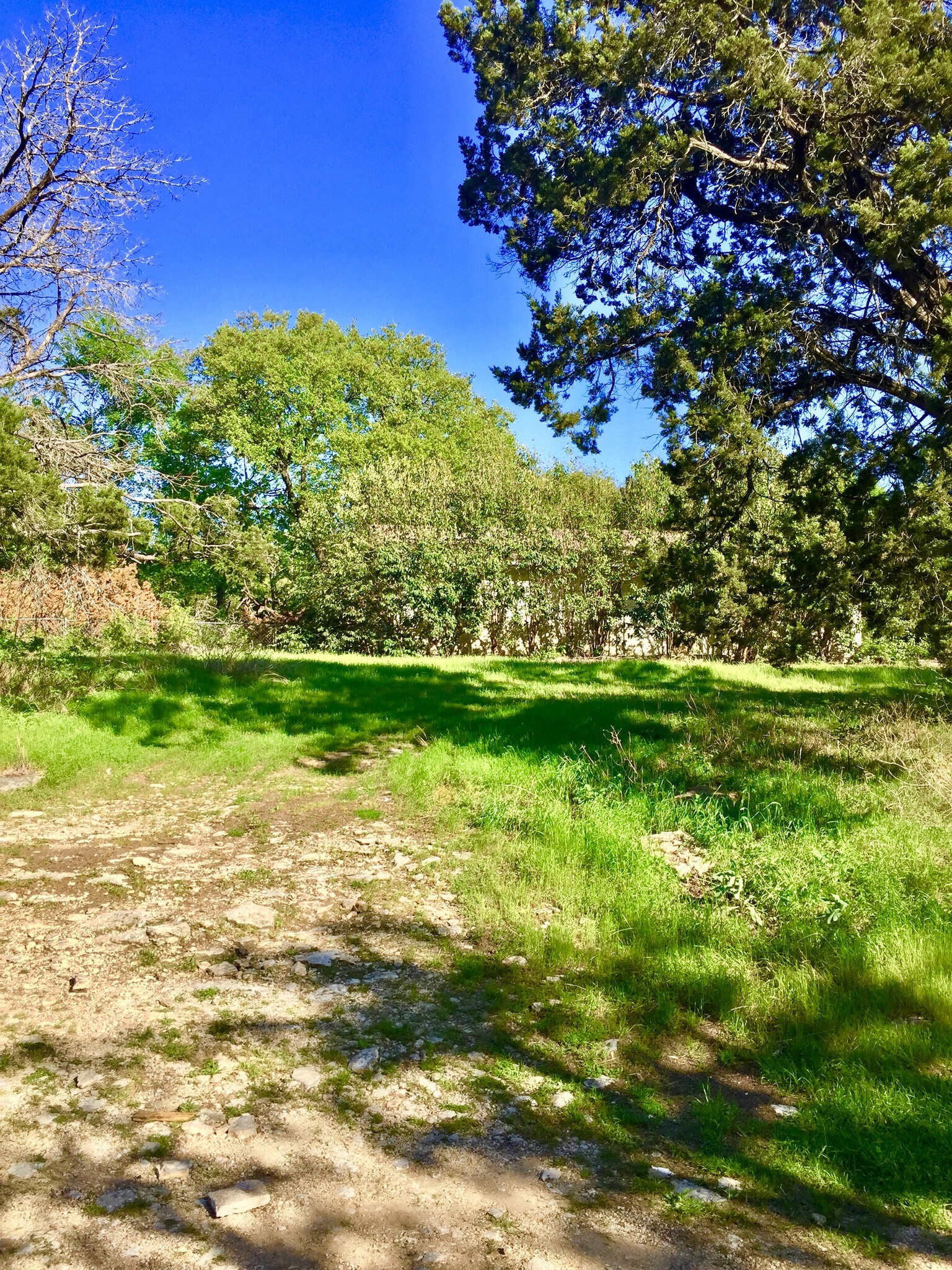 505 Kinsolving Rd, Belton, TX for sale Primary Photo- Image 1 of 1