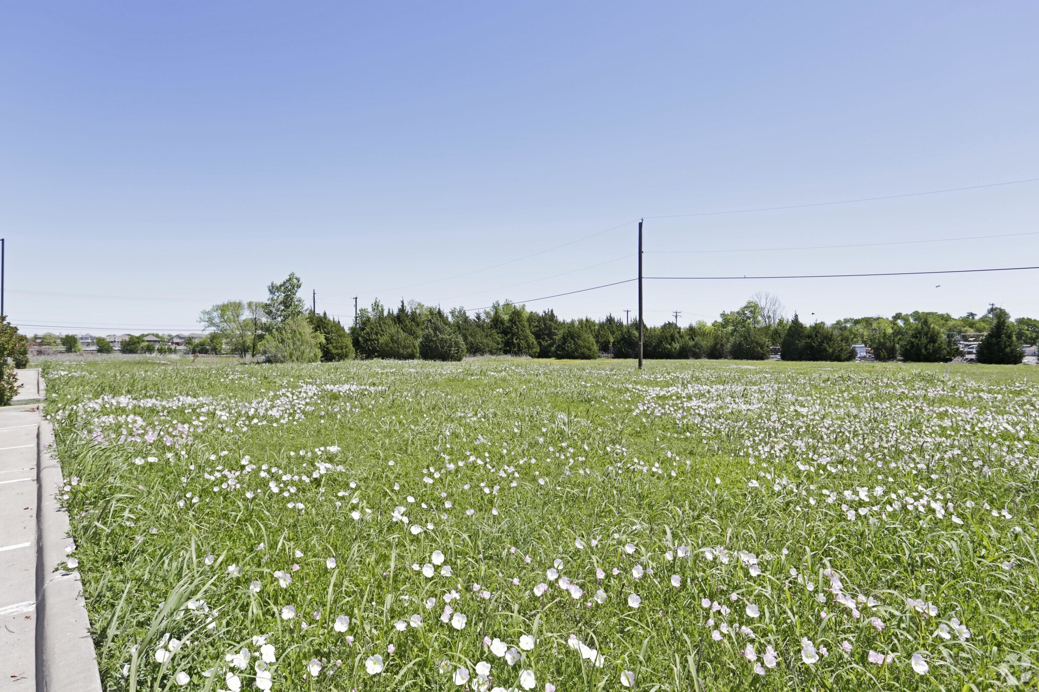 126 W US 80, Forney, TX for sale Primary Photo- Image 1 of 1