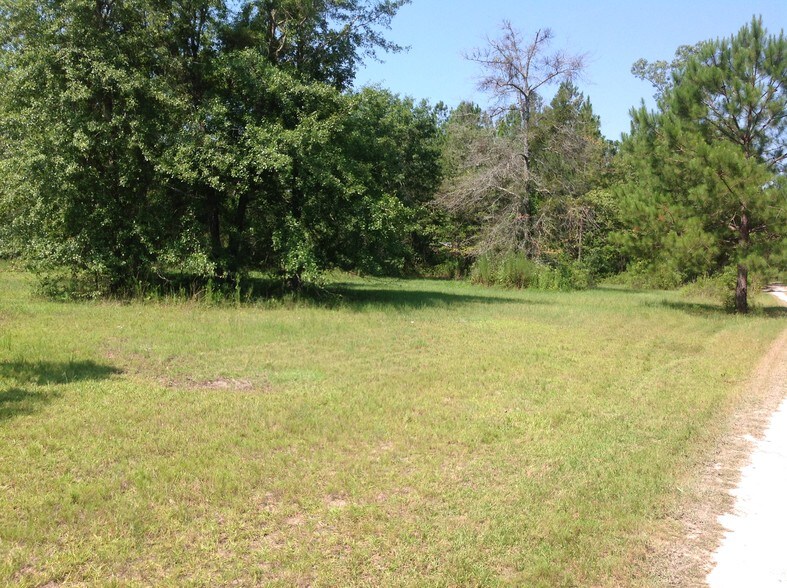 0 Springfield Rd, Clyo, GA 31303