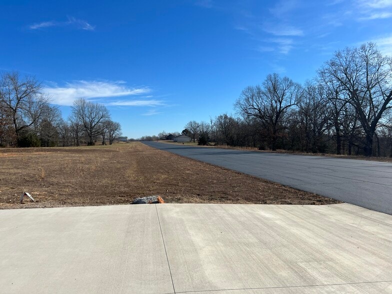 312 Eagle Wing Dr, Theodosia, MO for sale - Other - Image 3 of 10