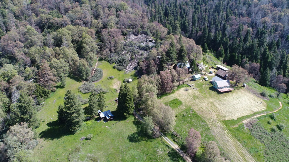 43267 Bear Creek Rd. D, Springville, CA for sale - Primary Photo - Image 1 of 6