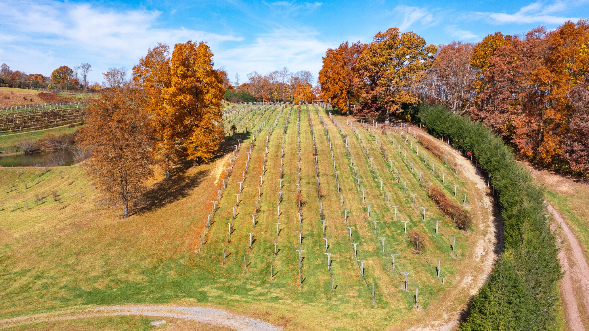 200 Twin Oaks Rd, Crab Orchard, WV 25827 Daniel Vineyards