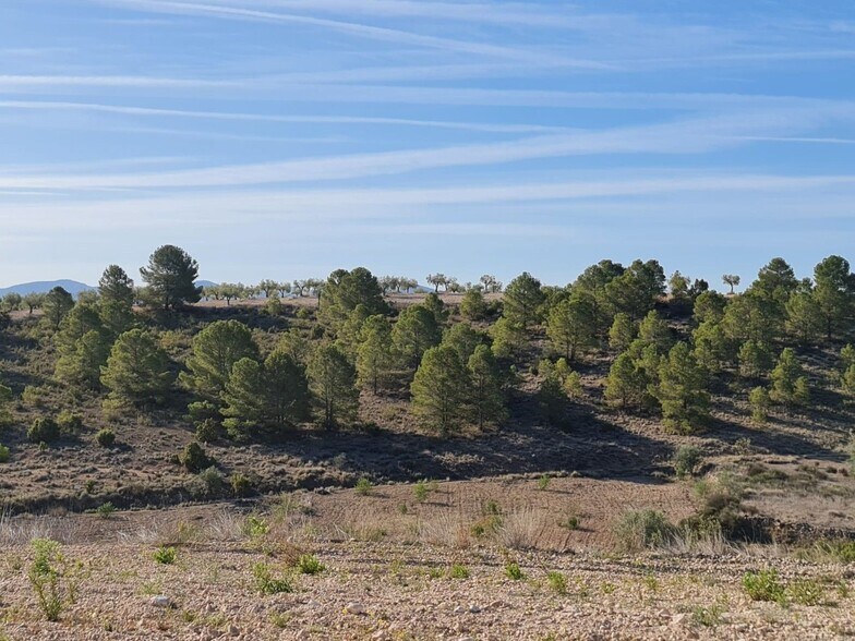 Land in Yecla for sale - Building Photo - Image 1 of 14