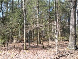 Rauch-Metz Rd, Irmo, SC for sale Primary Photo- Image 1 of 1