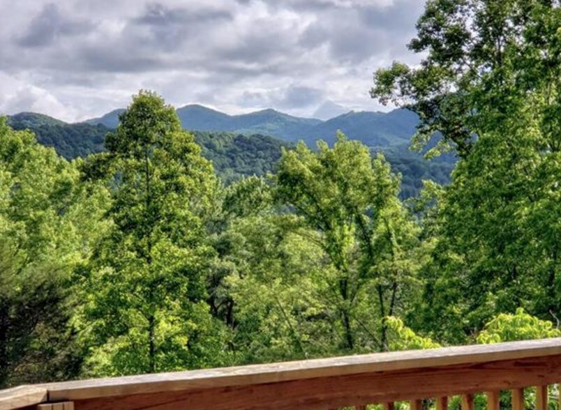 60 Lance Rd, Candler, NC for sale - Other - Image 1 of 1