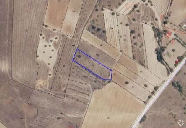 Camino de el Alamo, Casarrubios del Monte, Toledo for sale - Primary Photo - Image 1 of 2