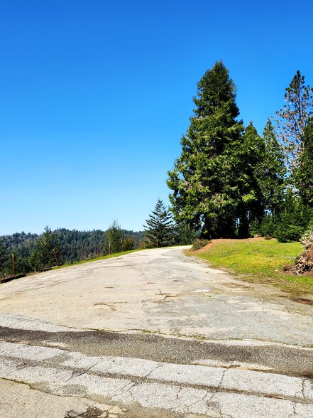 21570 Summit Rd, Los Gatos, Ca 95033 - Frank Christmas Tree Farm 