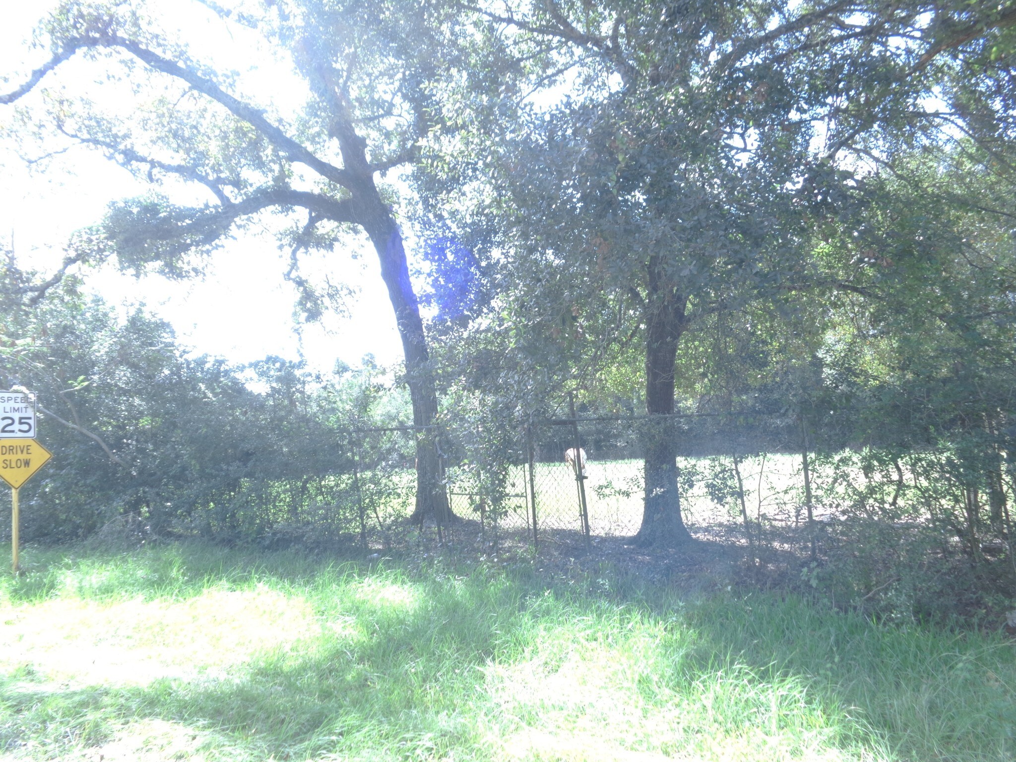 24325 Sorters Rd, Porter, TX for sale Building Photo- Image 1 of 1