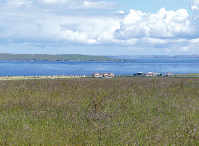 Mains Of Warse, Wick for sale Building Photo- Image 1 of 1