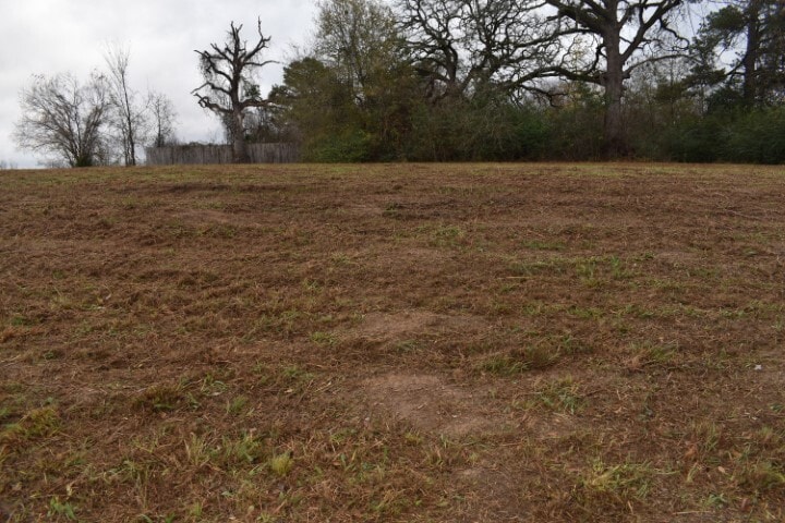 2200 S Royall St, Palestine, TX for sale - Building Photo - Image 3 of 11