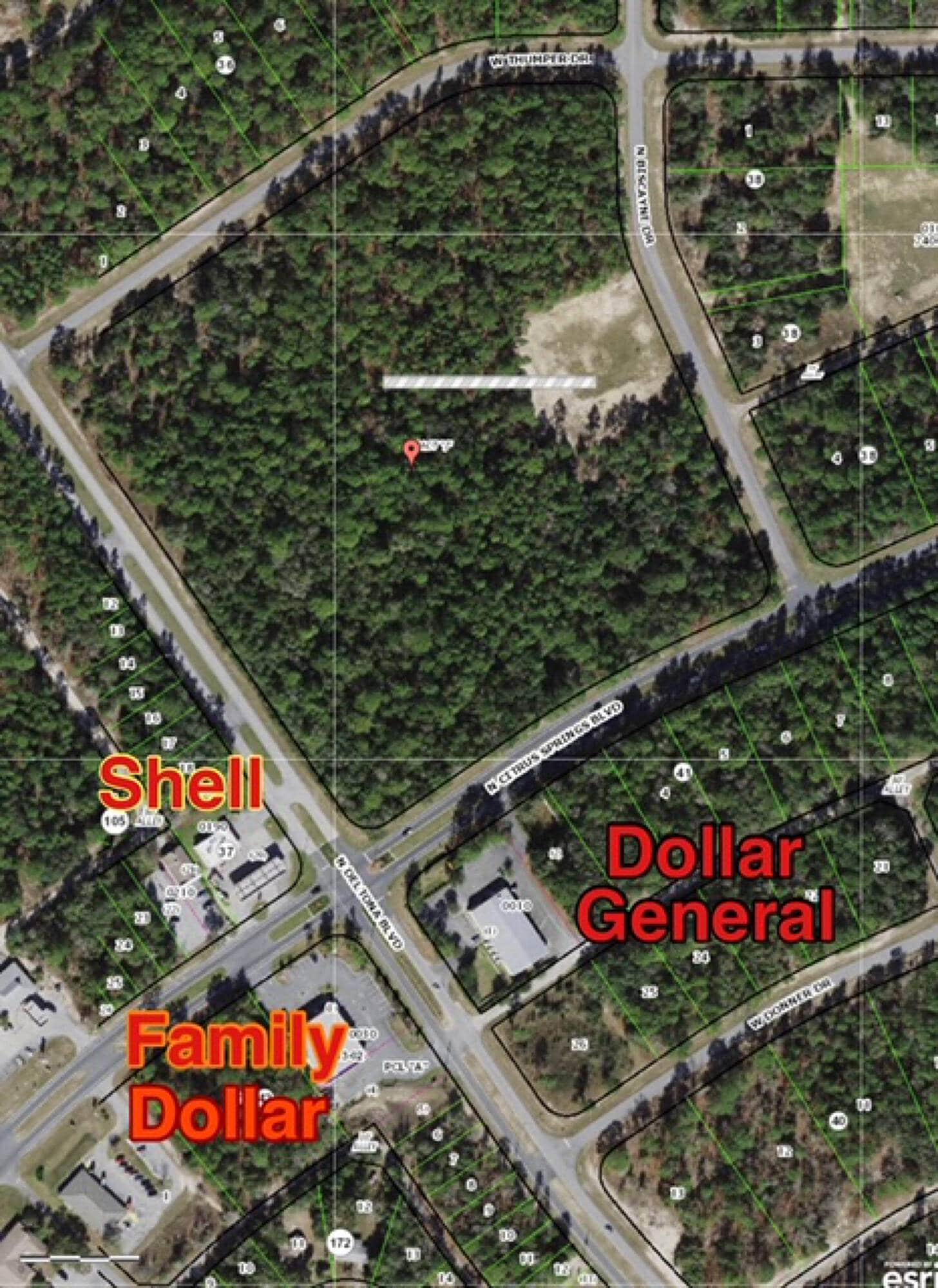 9719 N Deltona Blvd, Citrus Springs, FL for sale Building Photo- Image 1 of 1