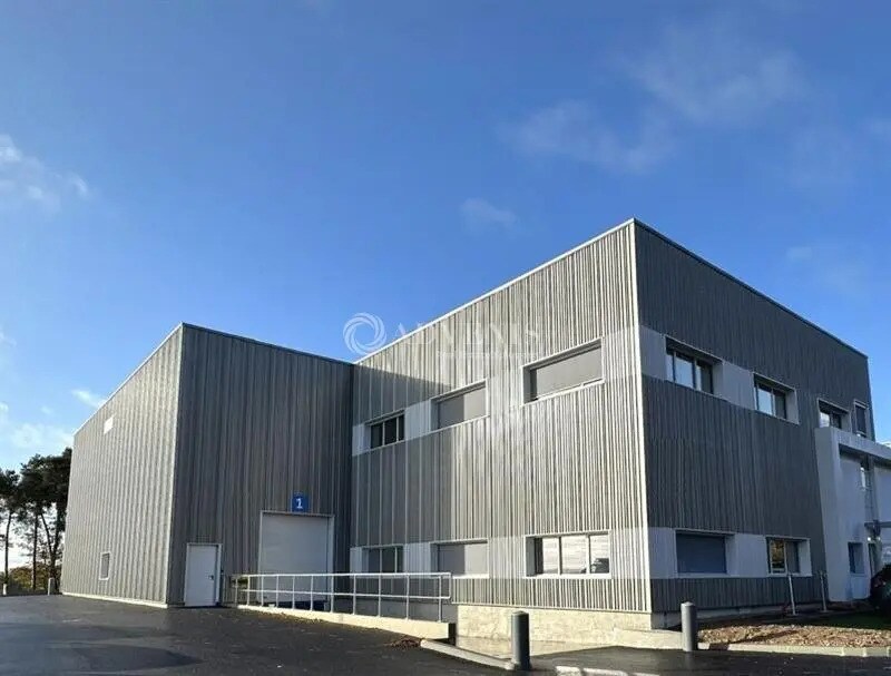 Flex in Les Sorinières for lease Building Photo- Image 1 of 9