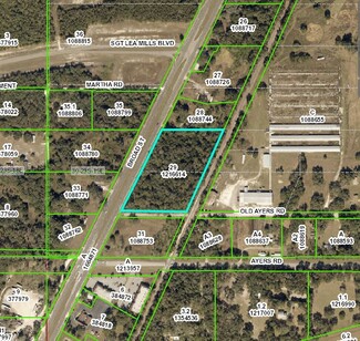 More details for Broad Street & Old Ayers Rd, Brooksville, FL - Land for Sale