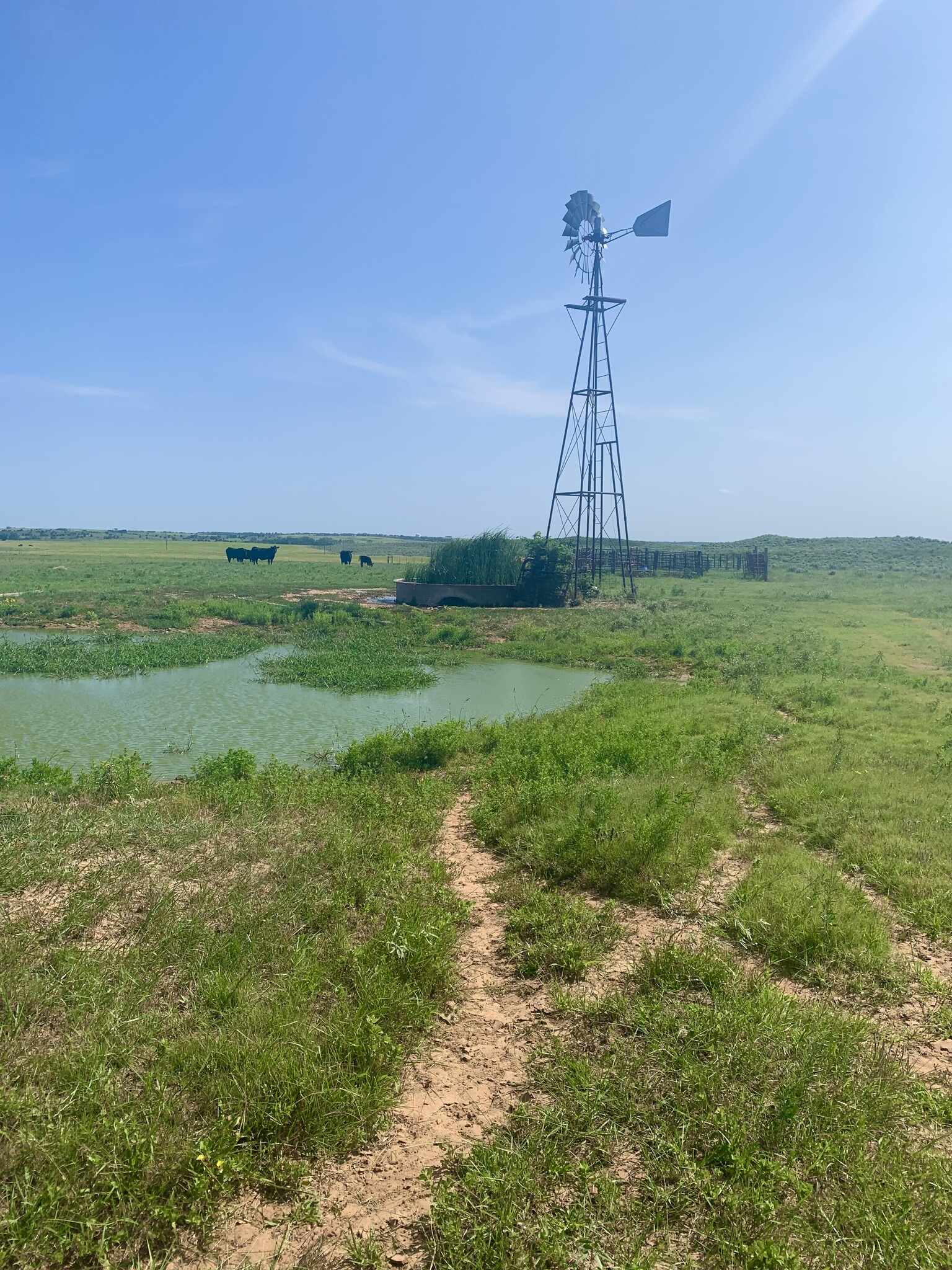 County Rd V, Mclean, TX for sale Primary Photo- Image 1 of 1