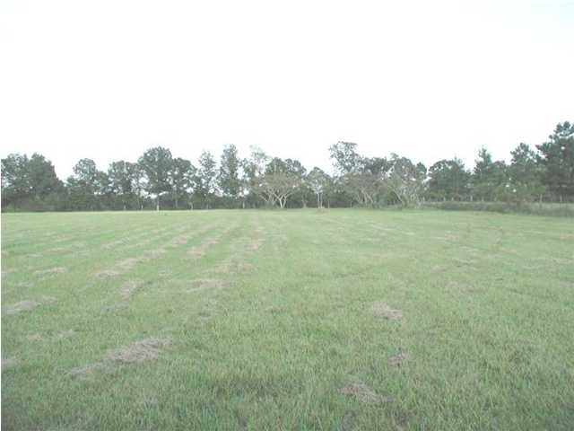 5320 Clifton Rd, Wilmer, AL for sale Primary Photo- Image 1 of 1