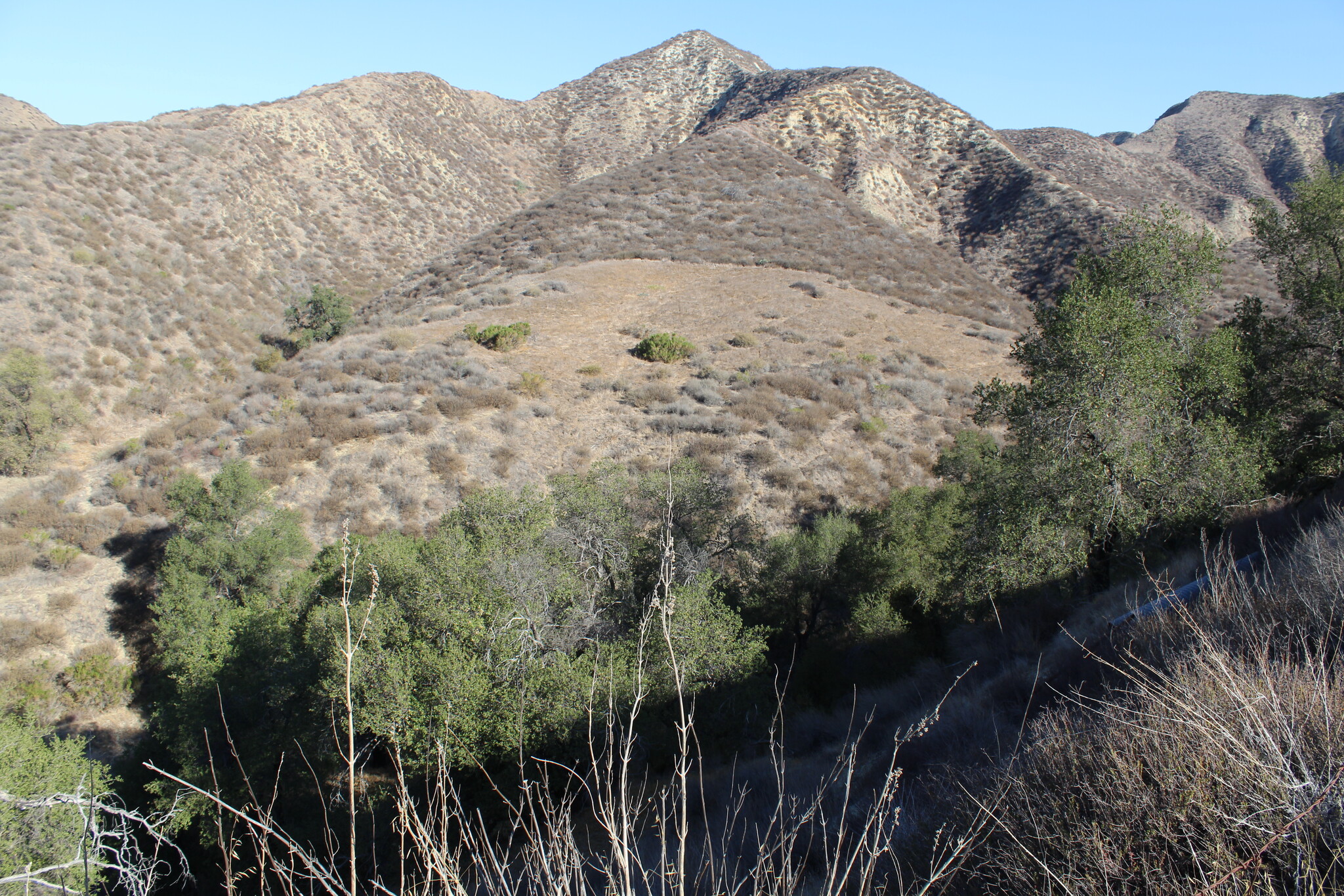 31029 Hasley Canyon Rd, Castaic, CA 91384 - Lechler Ranch | LoopNet