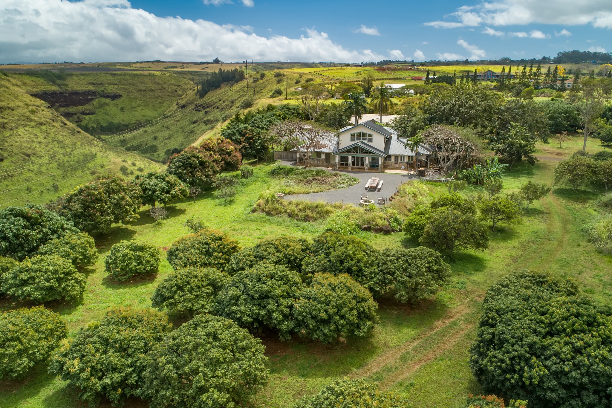 House For Rent Waialua Hawaii at Roger Corcoran blog