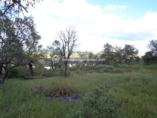 Land in Sierra de Fuentes for sale - Building Photo - Image 2 of 8