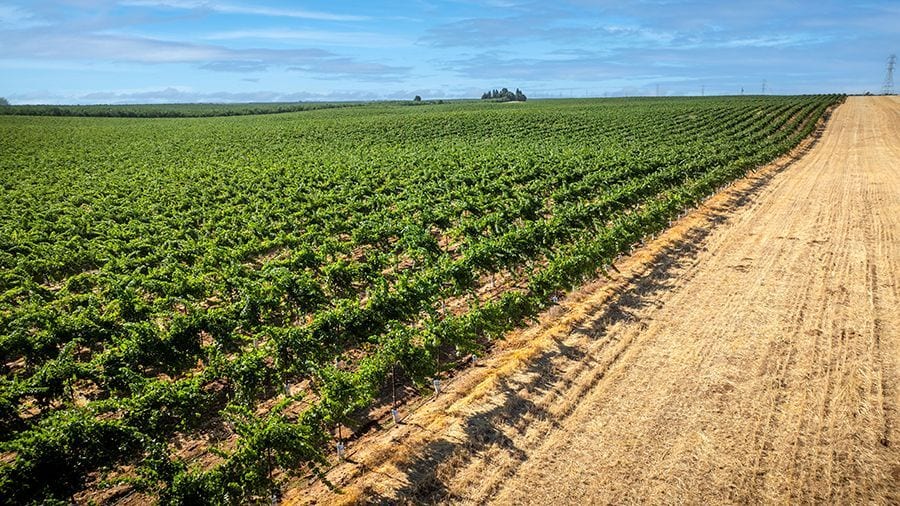 5648 N Montpelier Road Rd, Ballico, CA for sale Primary Photo- Image 1 of 7