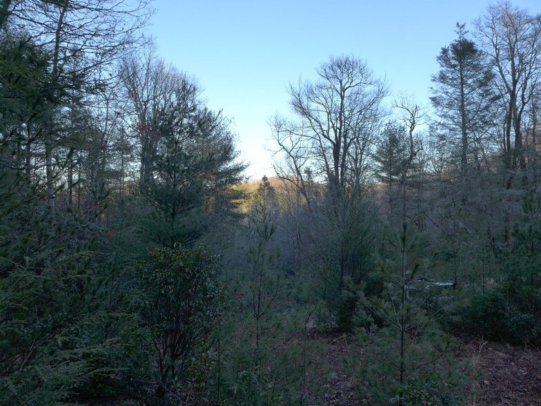 Beaumont Dr, Cedar Mountain, NC for sale - Building Photo - Image 1 of 1