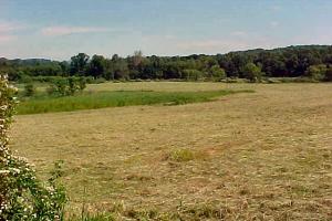 0 Brookside Rd, Pine Grove, PA for sale Primary Photo- Image 1 of 1