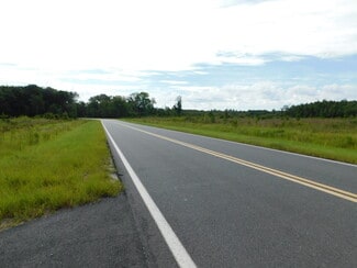 More details for 0000 Bell, Lake City, FL - Land for Sale
