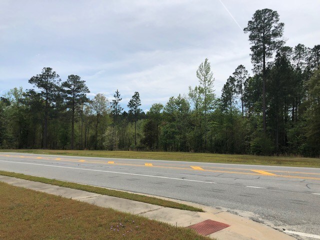 0 N GA Hwy 29, Soperton, GA for sale - Building Photo - Image 1 of 1