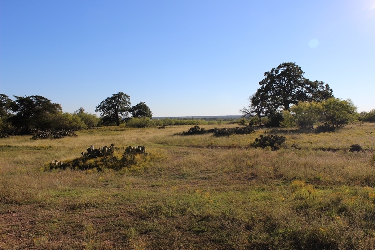 114 Della Mae Dr, Cedar Creek, TX for sale - Primary Photo - Image 1 of 1