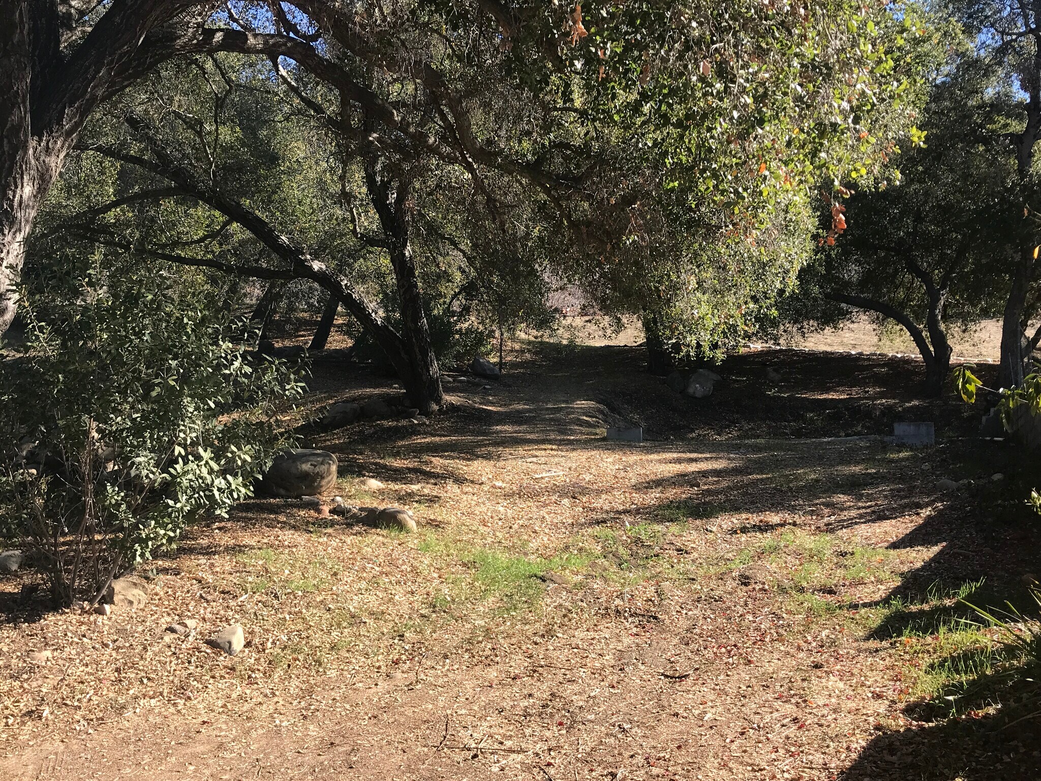 265 Encino, Oak View, CA 93022