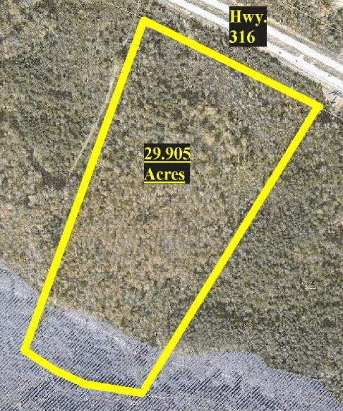 Hwy 316, Bogart, GA for sale Primary Photo- Image 1 of 1