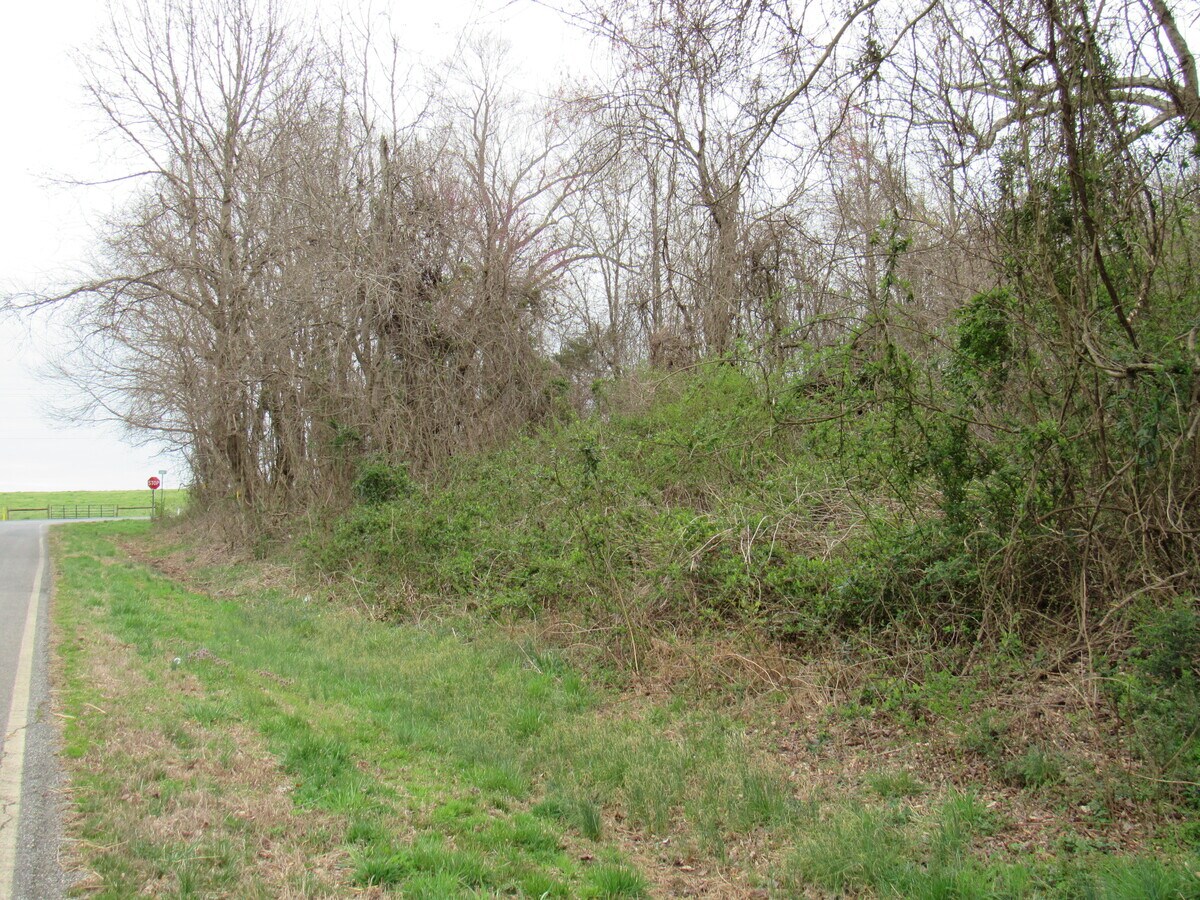 1063 Patterson Farm Rd, Mooresville, NC 28115