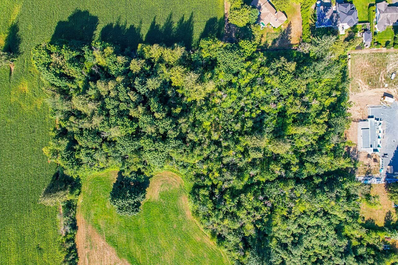 3705 Hot Springs Rd, Agassiz, BC V0M 1A3 3705 Hot Springs Road