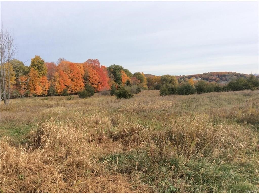 12 Silvertail Rd, Chester, NY for sale Primary Photo- Image 1 of 1